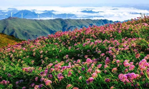 國慶豪華版拼假攻略 請6休16 這些重點景區門票要降價了,約起