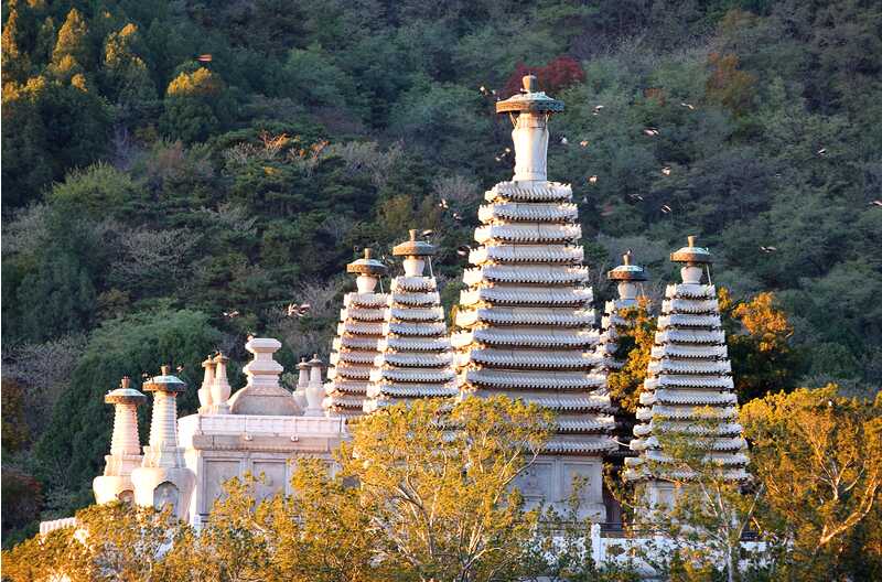 20多年來首次"封閉修繕",香山碧云寺要修啥_京報(bào)網(wǎng)