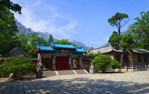 實(shí)現(xiàn)太清 仰口 華嚴(yán) 九水互聯(lián)互通 大嶗山 游覽布局進(jìn)入三年攻堅(jiān)行動(dòng)方案