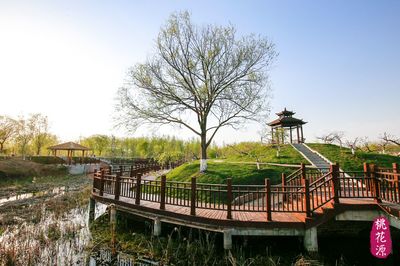 黃河故道桃花源精心打造農(nóng)旅結(jié)合生態(tài)園區(qū)