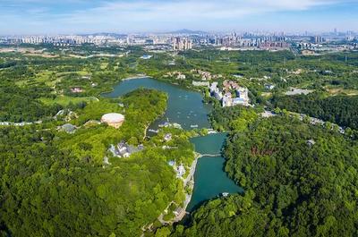 草地露營、國潮音樂節(jié)、少兒音樂匯 南京珍珠泉度假區(qū)假期精彩紛呈，盡顯卓越園區(qū)管理服務(wù)