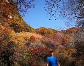 2019平山駝梁風(fēng)景區(qū)游玩全攻略 門票價(jià)格、游覽路線、地址與服務(wù)詳解